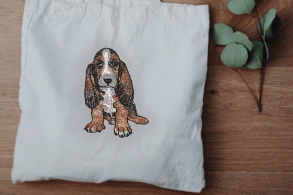 Basset Hound Puppy